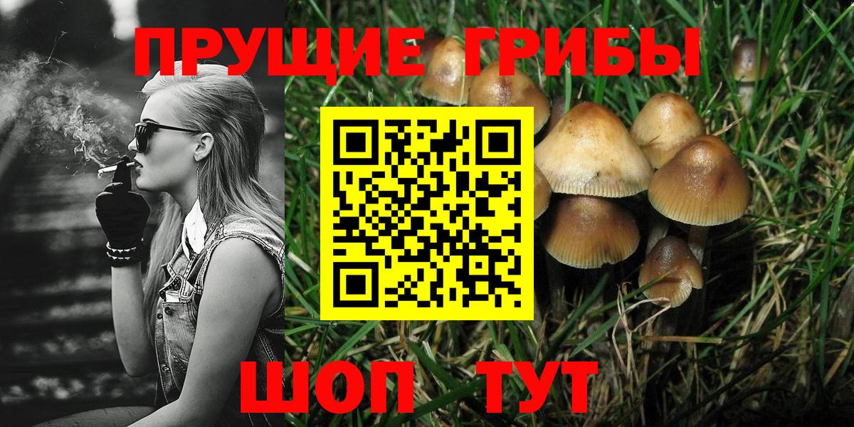 Камень-на-Оби  Псилоцибиновые грибы ЛСД  Вход с VPN 